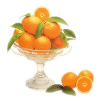 Orangen